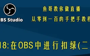 下载视频: 18：OBS扣绿(二)