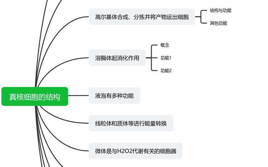 真核细胞的结构哔哩哔哩bilibili