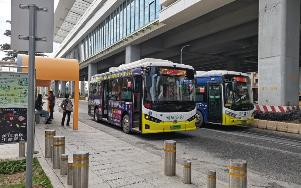 [图]增城公交の千层套路