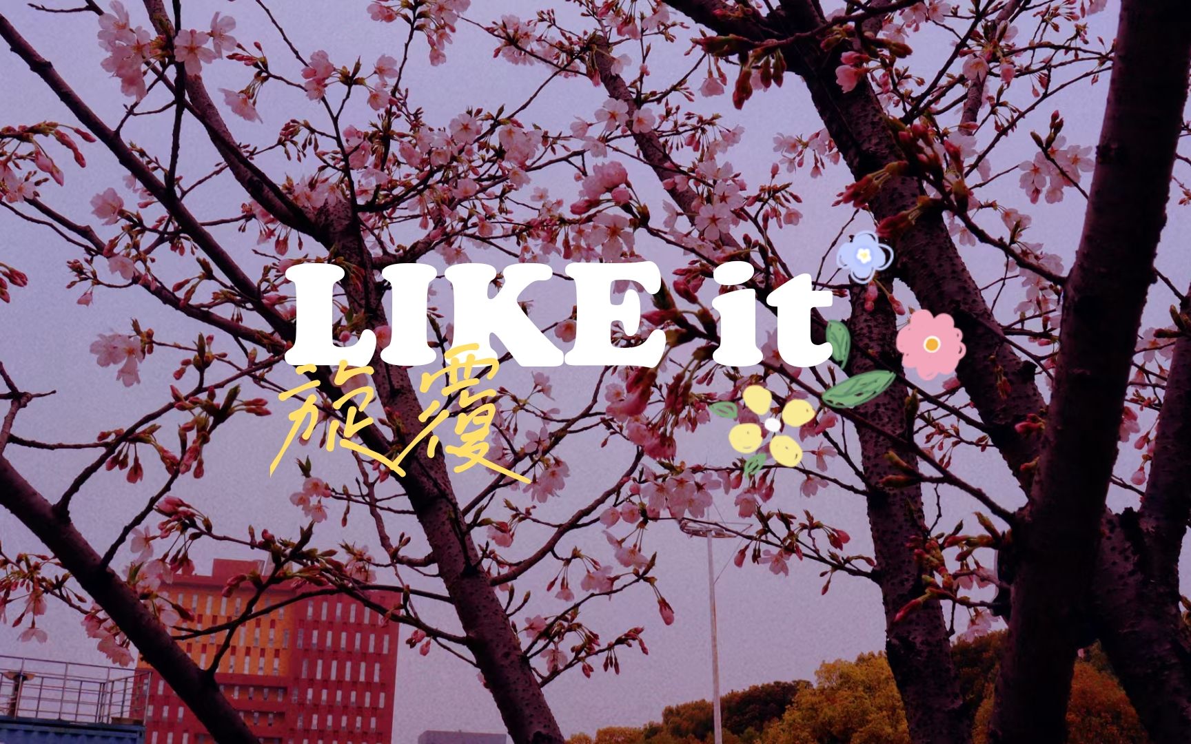 【旋覆】作业#5丨like it丨sakura丨樱花拟人丨剧情丨黑化sakura丨