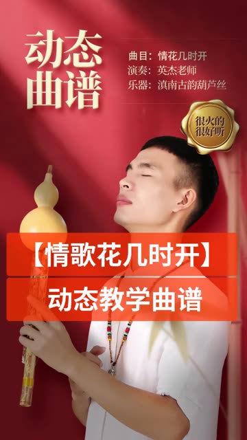 【情花几时开】情人几时来?英杰老师演奏情意绵绵!哔哩哔哩bilibili