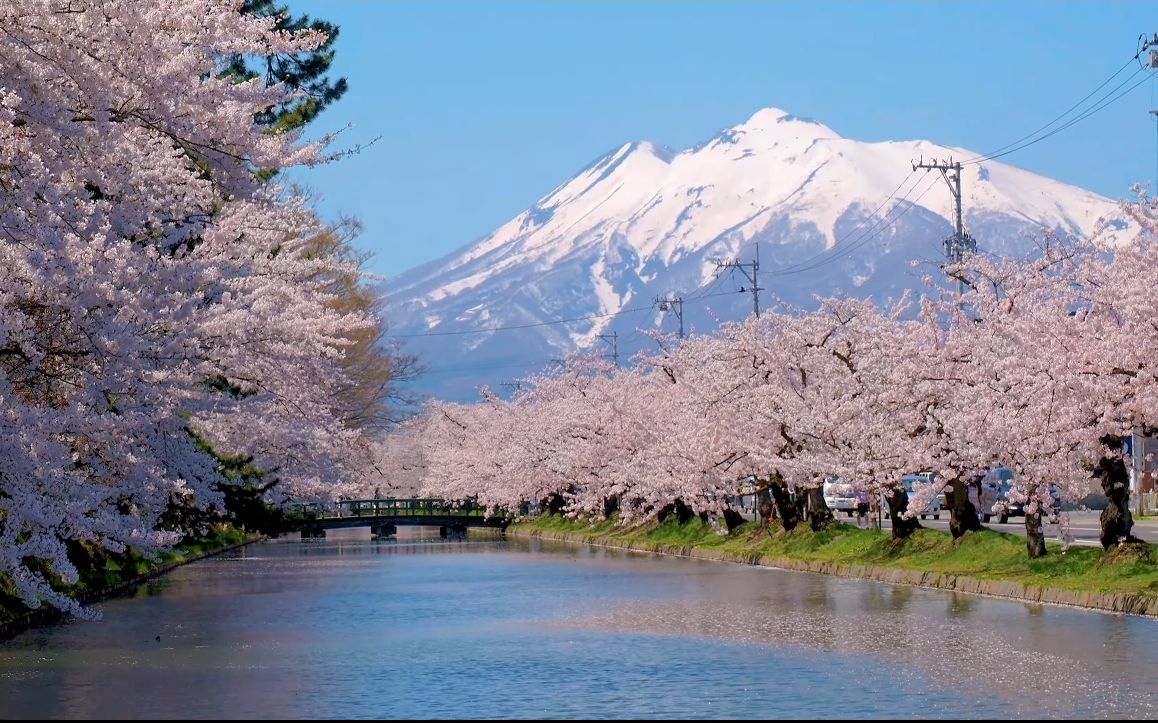 【超清日本】漫步日本三大樱花名所青森县弘前公园 (4K超清版) 2021.4哔哩哔哩bilibili