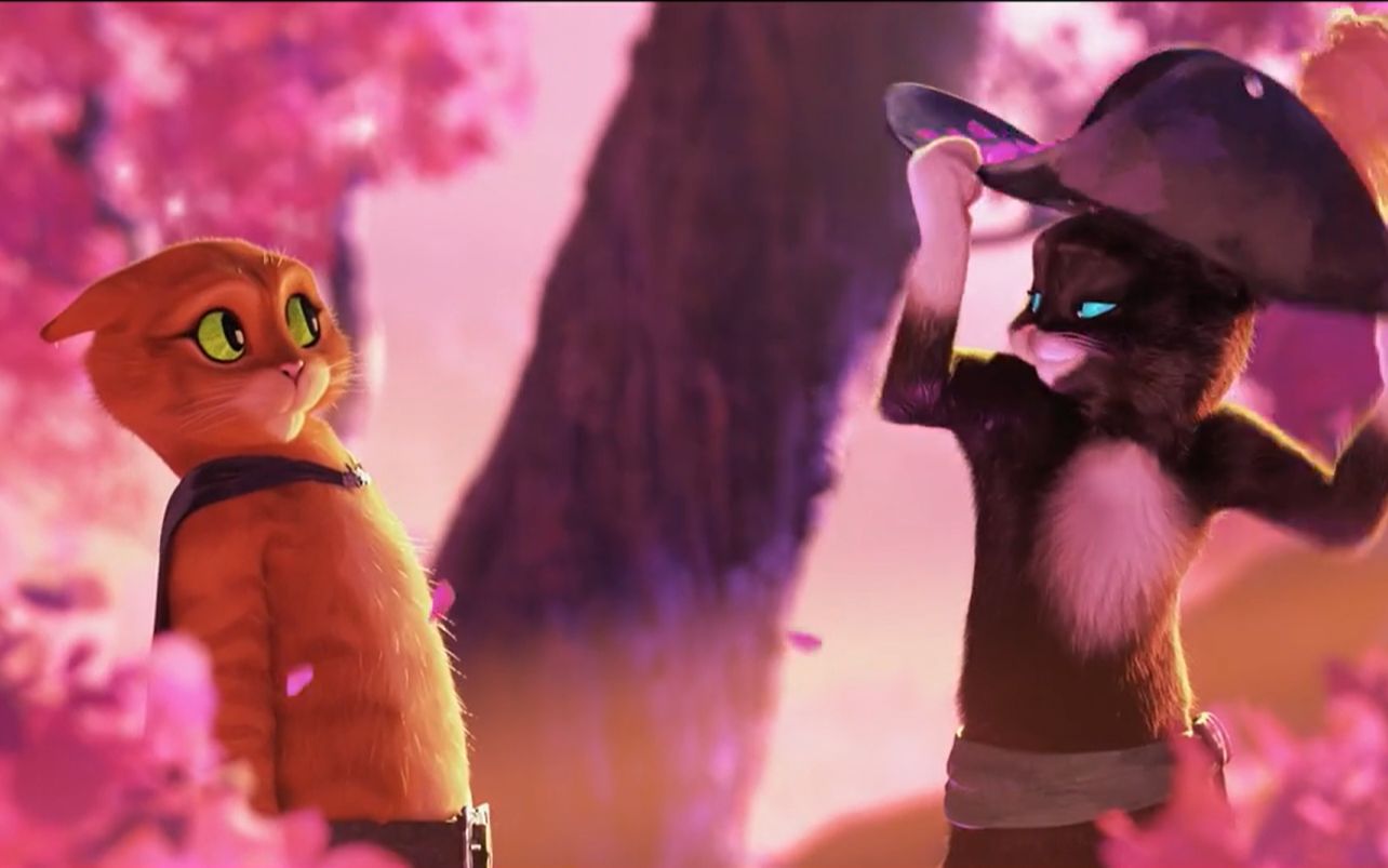 你确定这不是动作爱情片吗?|靴猫2