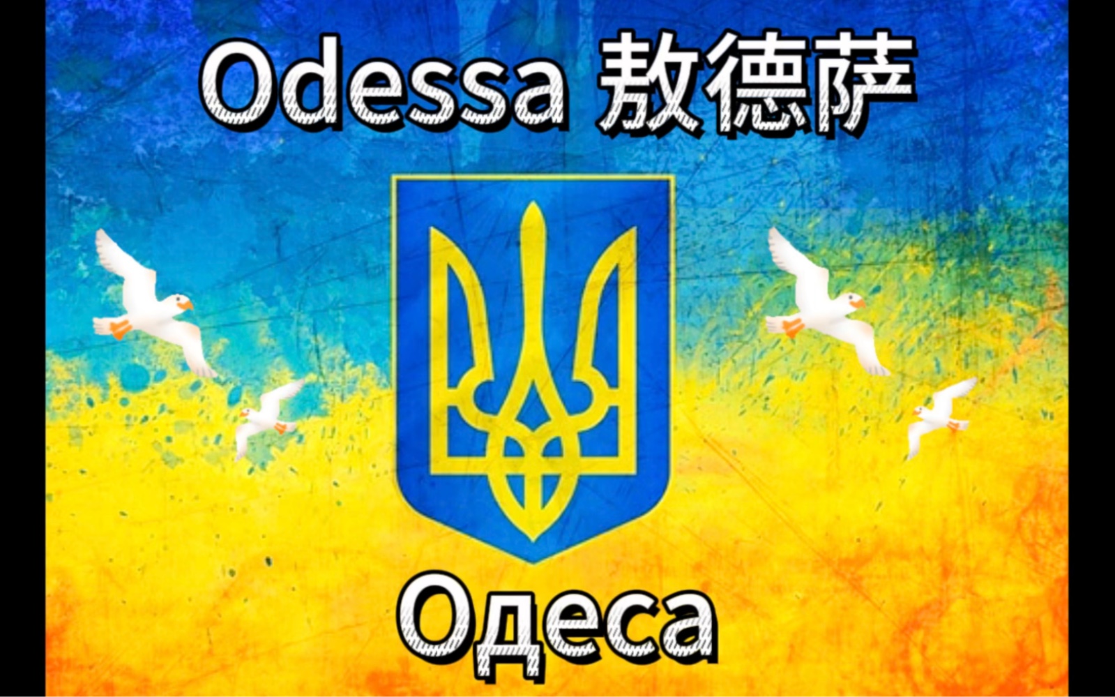 【介绍乌克兰】Odessa 𐞐𔐵𑁐𐠮Š敖德萨哔哩哔哩bilibili