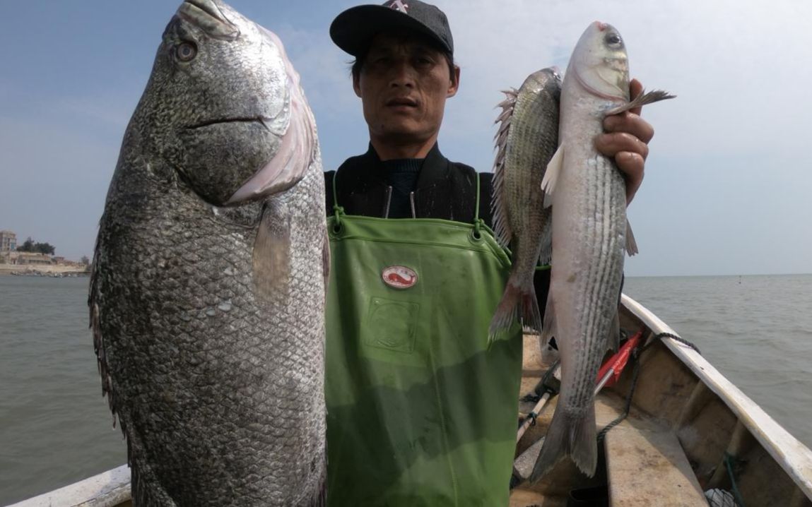 馒头今天赶海运气爆棚,抓到大猛货,终于可以让女儿欢心了!