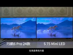 Télécharger la video: 雷鸟75鹤6  Pro 24款 VS 小米S MiniLED 75吋