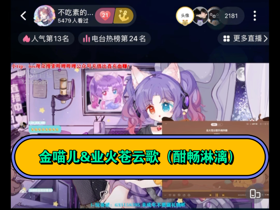 【金喵儿&业火苍云歌】好酣畅淋漓的业火苍云歌哔哩哔哩bilibili