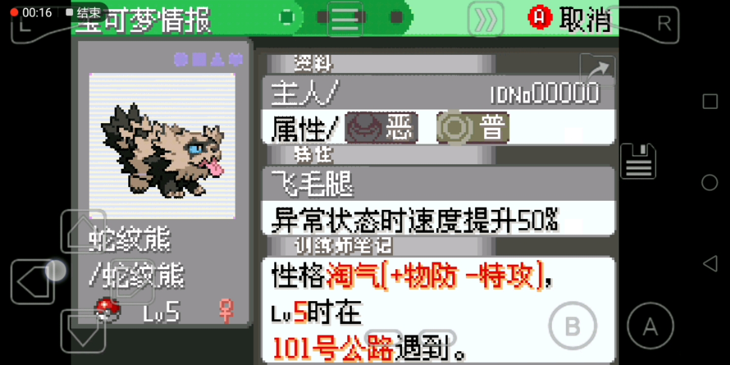 究极绿宝石神战,闪光阿罗拉蛇纹熊