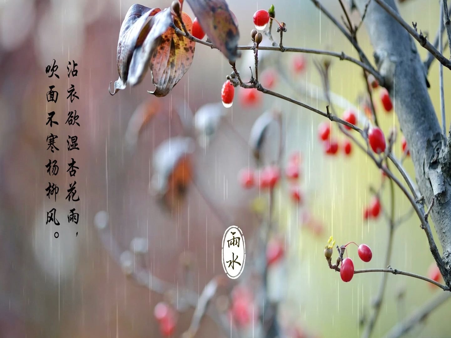 【沾衣欲湿杏花雨,吹面不寒杨柳风】今日雨水,盘点古诗词中的春雨哔哩哔哩bilibili