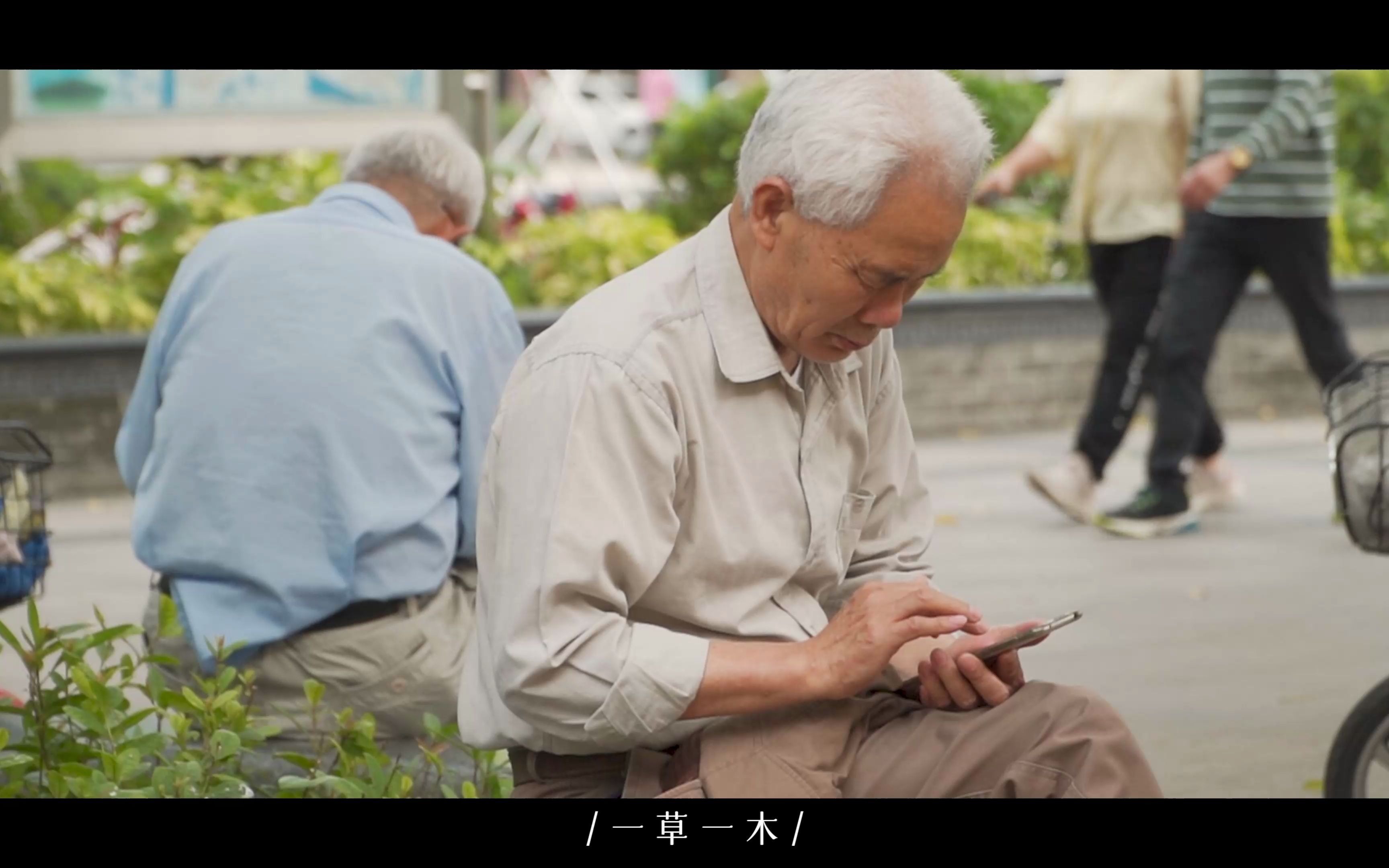 「新会旅游」历史和生活的见证者——新会人民会堂哔哩哔哩bilibili