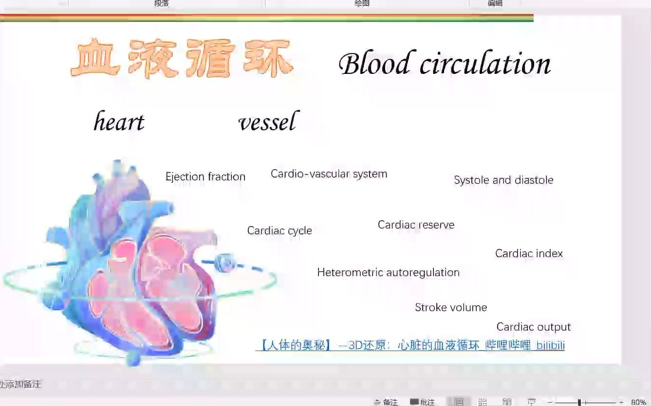 三小时轻松同伴式讲课带你轻轻松松过完九版生理学第四章血液循环.彩蛋:PPT的制作思路.希望能有对的人可以发现这个宝藏!!哔哩哔哩bilibili