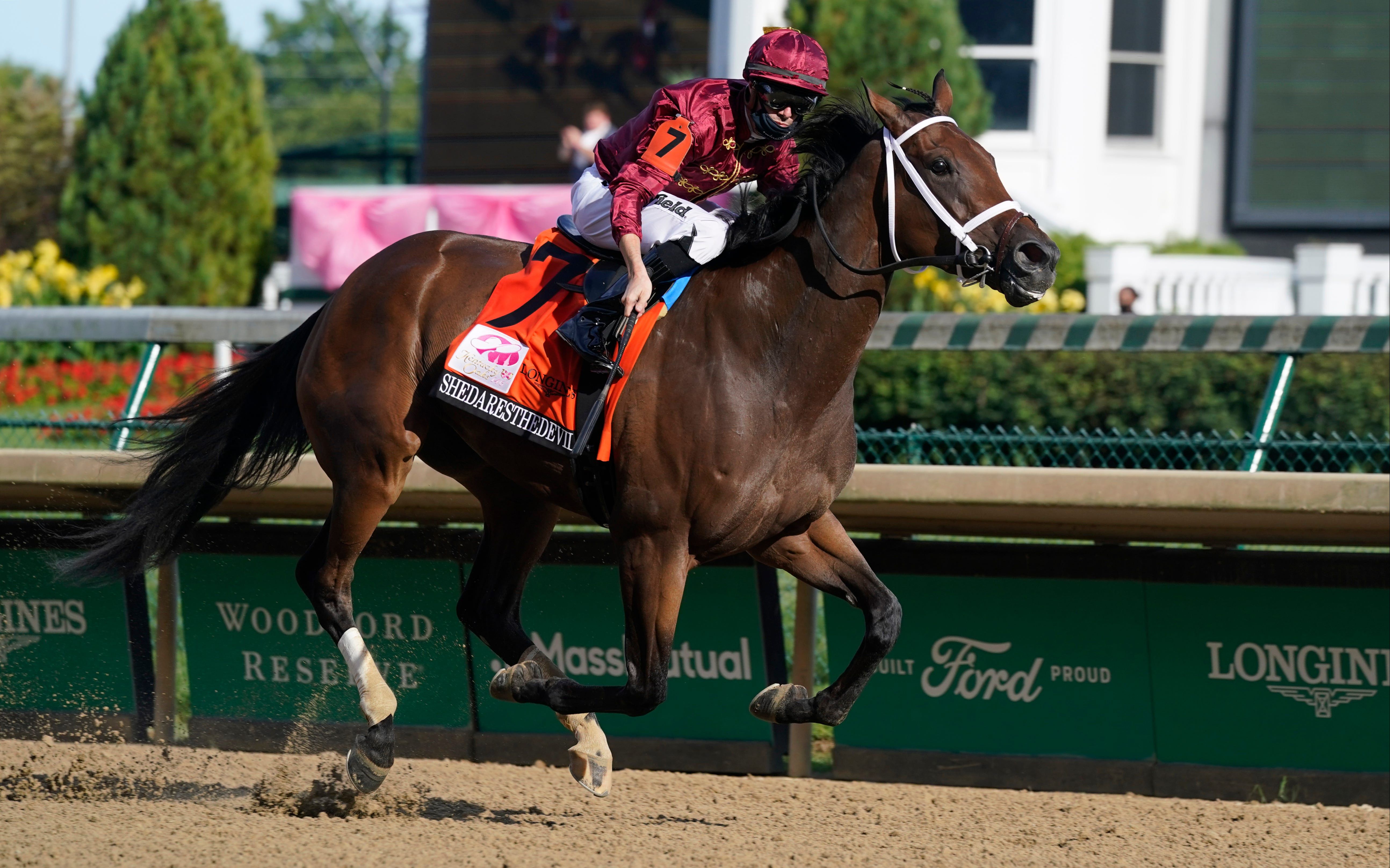【赛马】美国雌马 shedaresthedevil 赛事合集_哔哩哔哩_bilibili