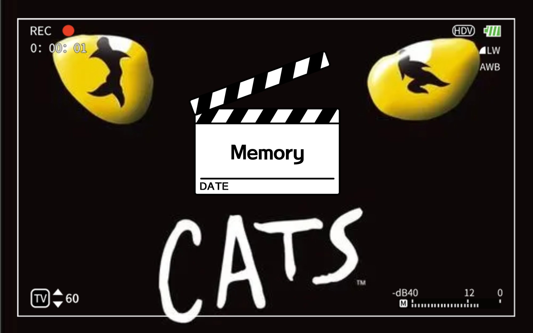 【memory】——音乐剧《猫》 旋律响起,是否唤起了你的回忆?