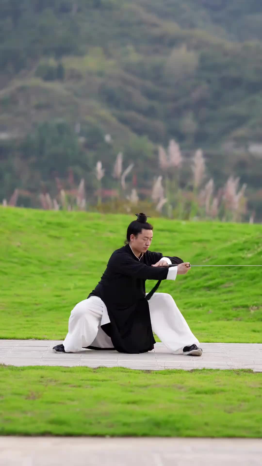 武当山太极剑-武当云鹤简单易学的教学示范版 #道家武术养生