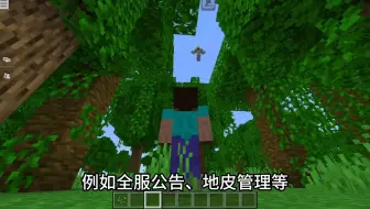 租赁服也能装模组？没有插件那就我们来开发吧！