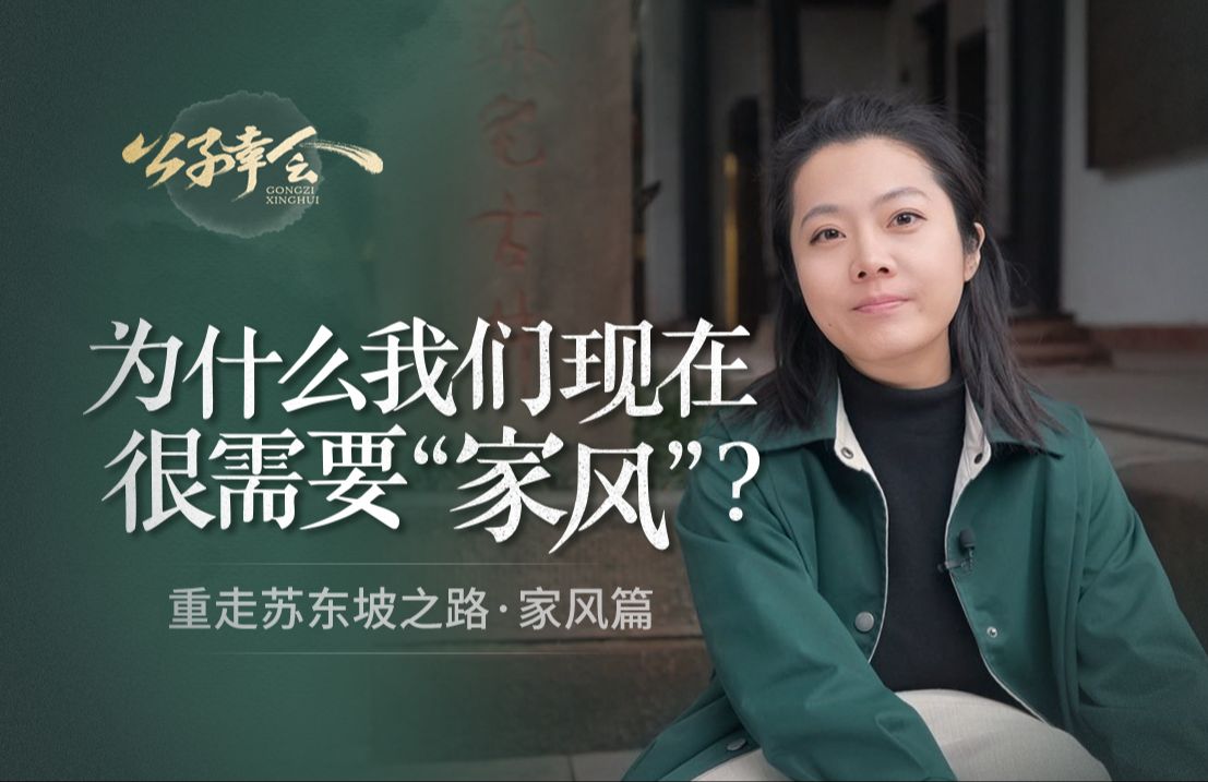 苏东坡是如何养成的?苏氏家风又藏着怎样的精神原力?哔哩哔哩bilibili