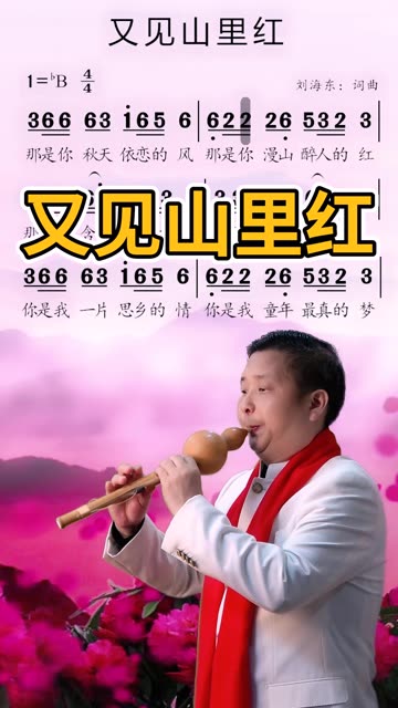 又见山里红…葫芦丝