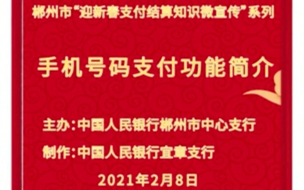 郴州市“迎新春支付系统微宣传”系列(五)手机号码支付功能简介哔哩哔哩bilibili