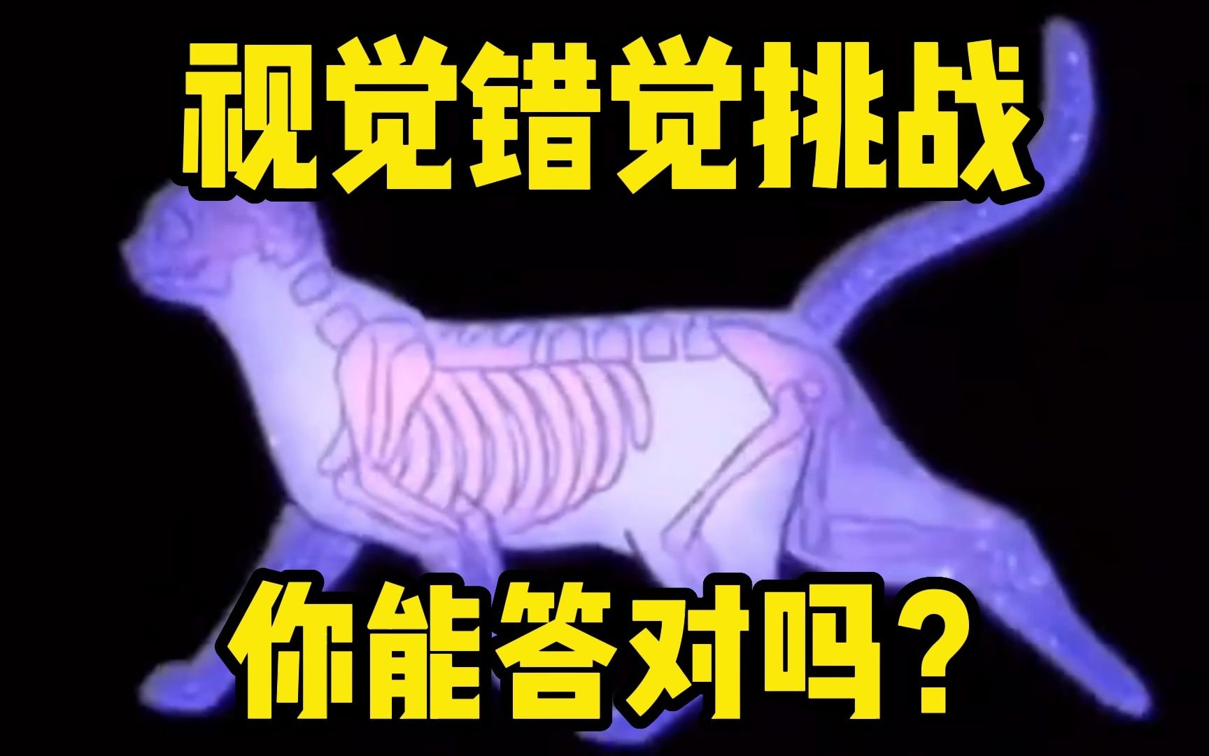 [图]视觉错觉挑战，眼力大测试，你能答对吗？