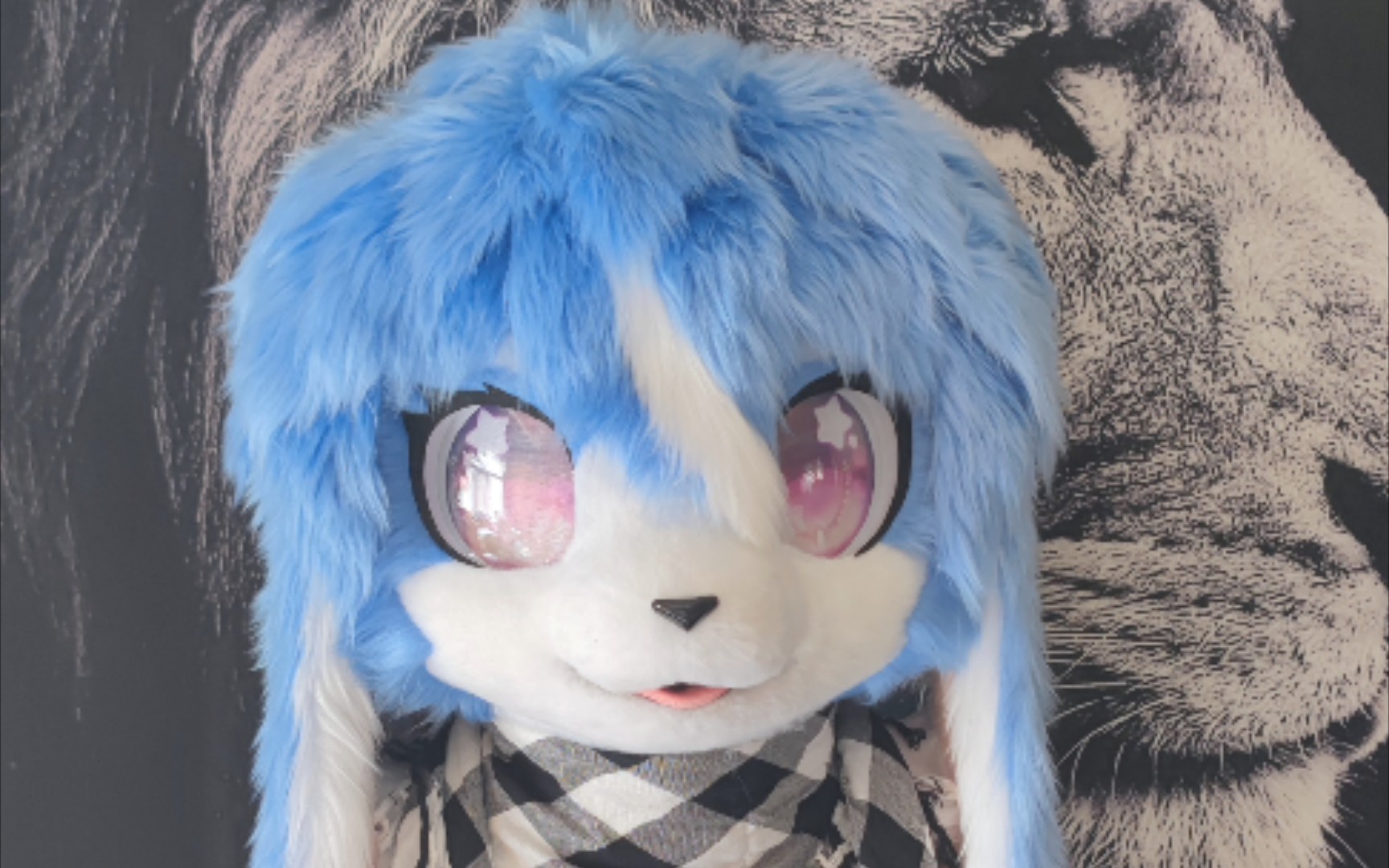 【fursuit制作】兔or狗狗兔?