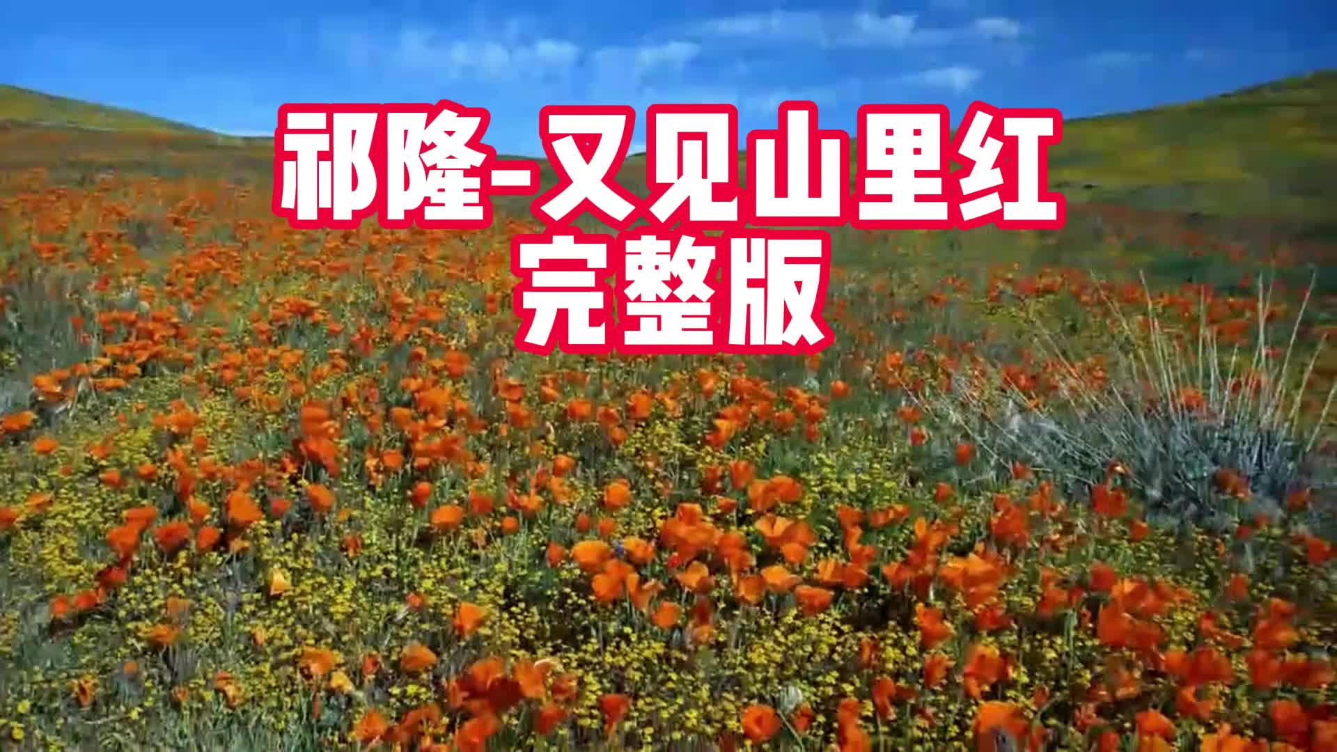 超好听的经典音乐,伤感歌曲:祁隆-又见山里红