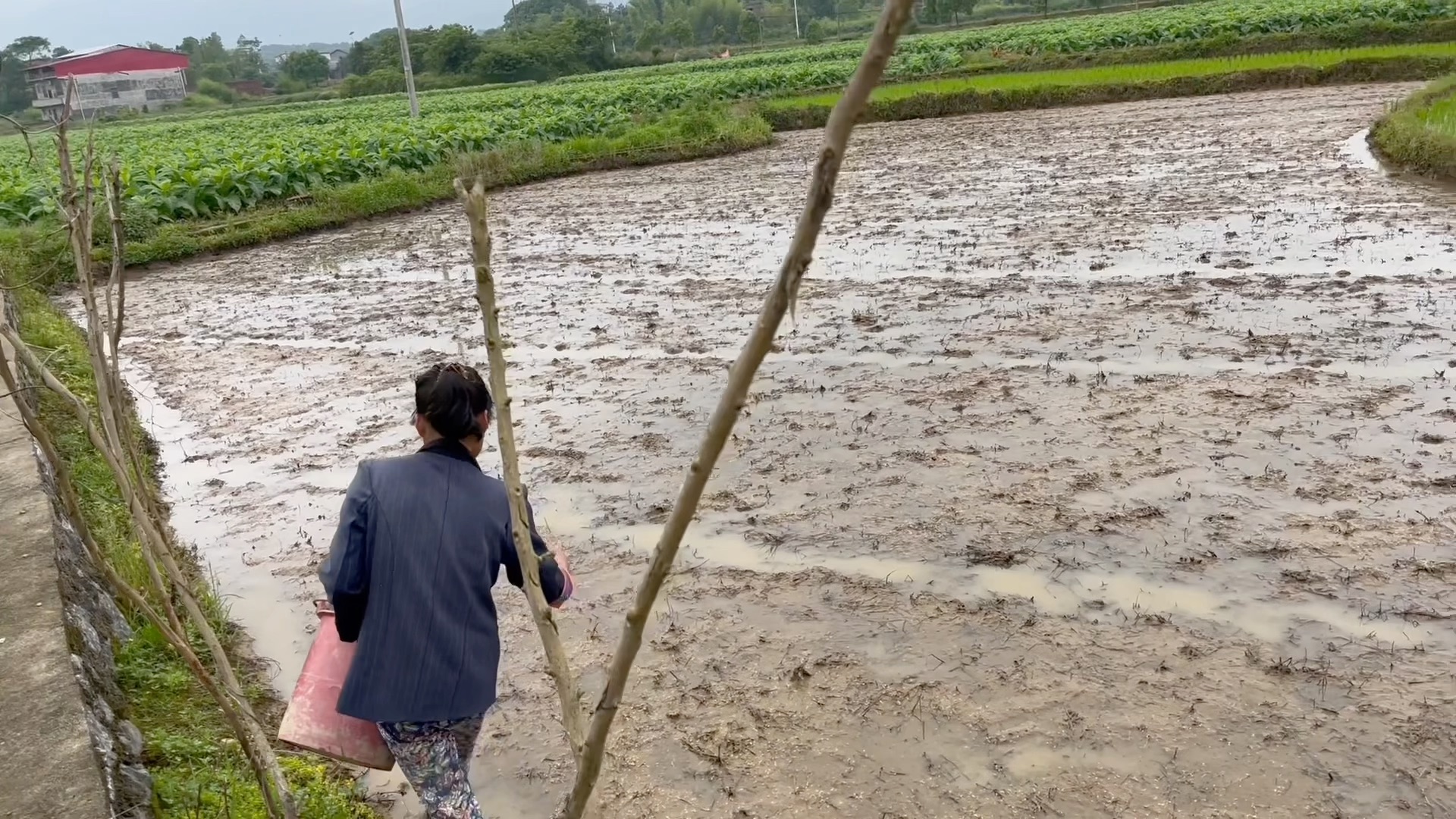 [图]农村还有多少，八零后九零后会种田的