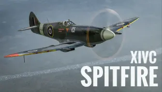 Video herunterladen: ''兀鹫自高空而来'' SpitfireF MK XIVC 喷火14C 空历击杀集锦