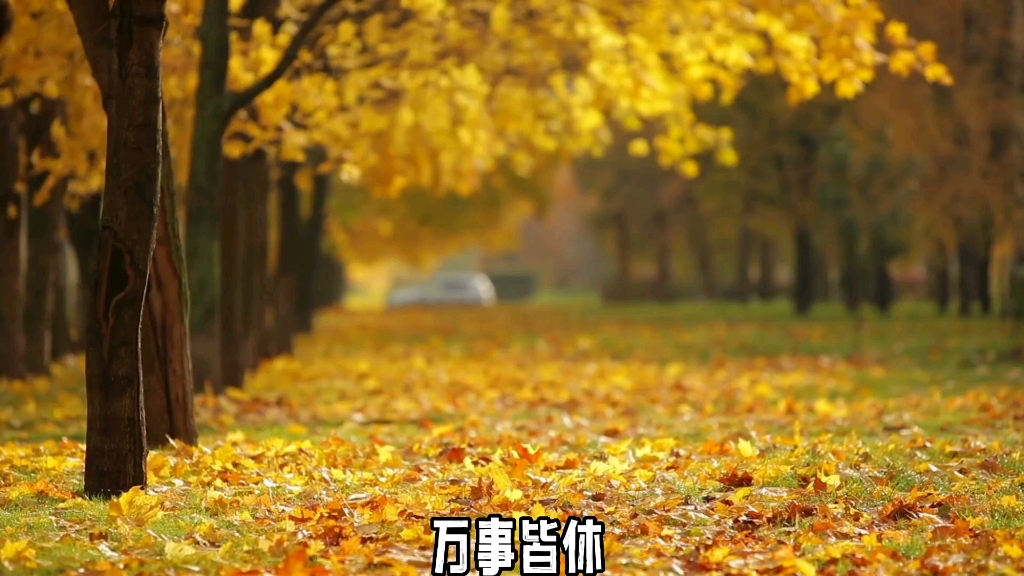 人生追求什么哔哩哔哩bilibili