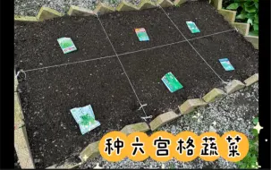 Tải video: 9月9日混搭种植六种蔬菜