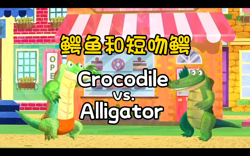 鳄鱼和短吻鳄的区别crocodile vs. alligator哔哩哔哩bilibili