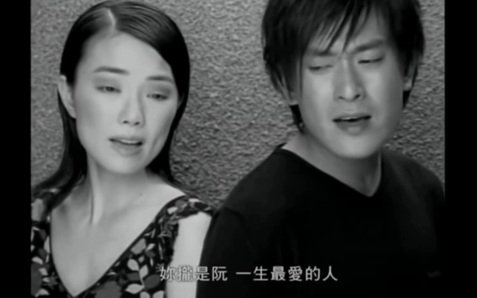 [图]意难忘胜天和婷婷歌曲《醉情人》MV