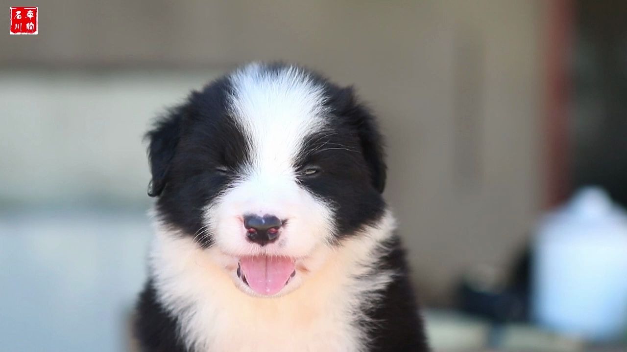 大热天拍照,小朋友很配合_哔哩哔哩 (゜-゜)つロ 干杯~-bilibili