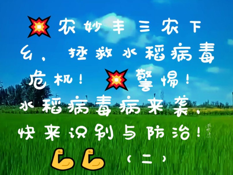 农妙丰三农下乡,拯救水稻病毒危机!警惕!水稻病毒病来袭,快来识别与防治!(二)哔哩哔哩bilibili