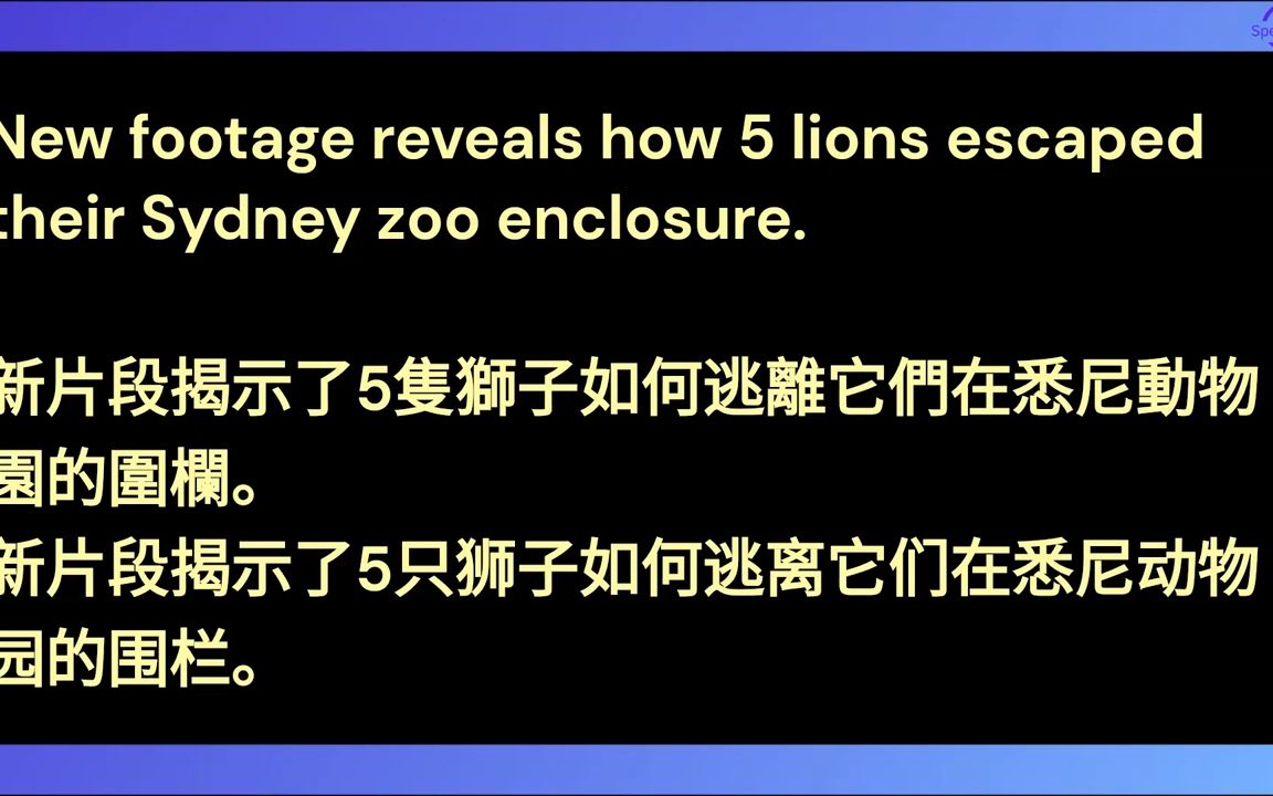 新闻英文新片段揭示了5只狮子如何逃离它们在悉尼动物园的围栏#满满8次英文播放,#英文,#学英文,#学英文#英文新闻,#英语新闻,#英文时事,#国...