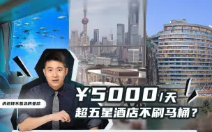 Download Video: 名媛拼团的豪华酒店到底有多脏？我们花了3W试出一身冷汗！