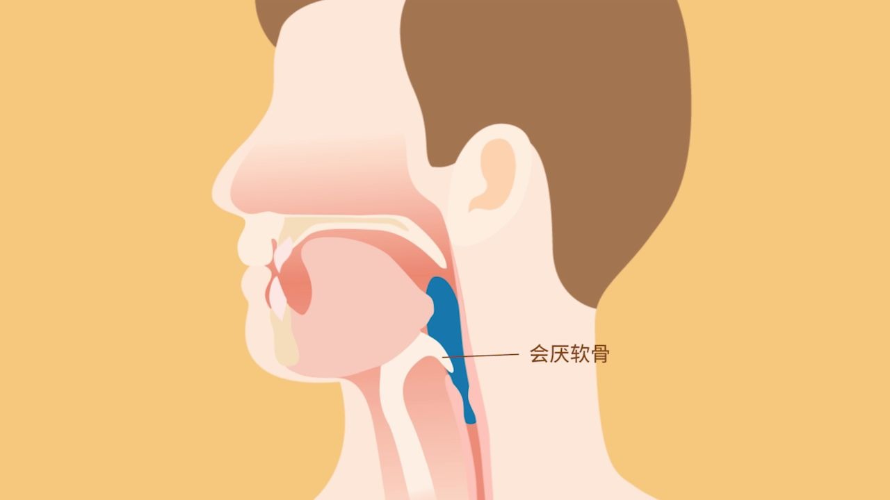 [图]【生物】食物的消化过程