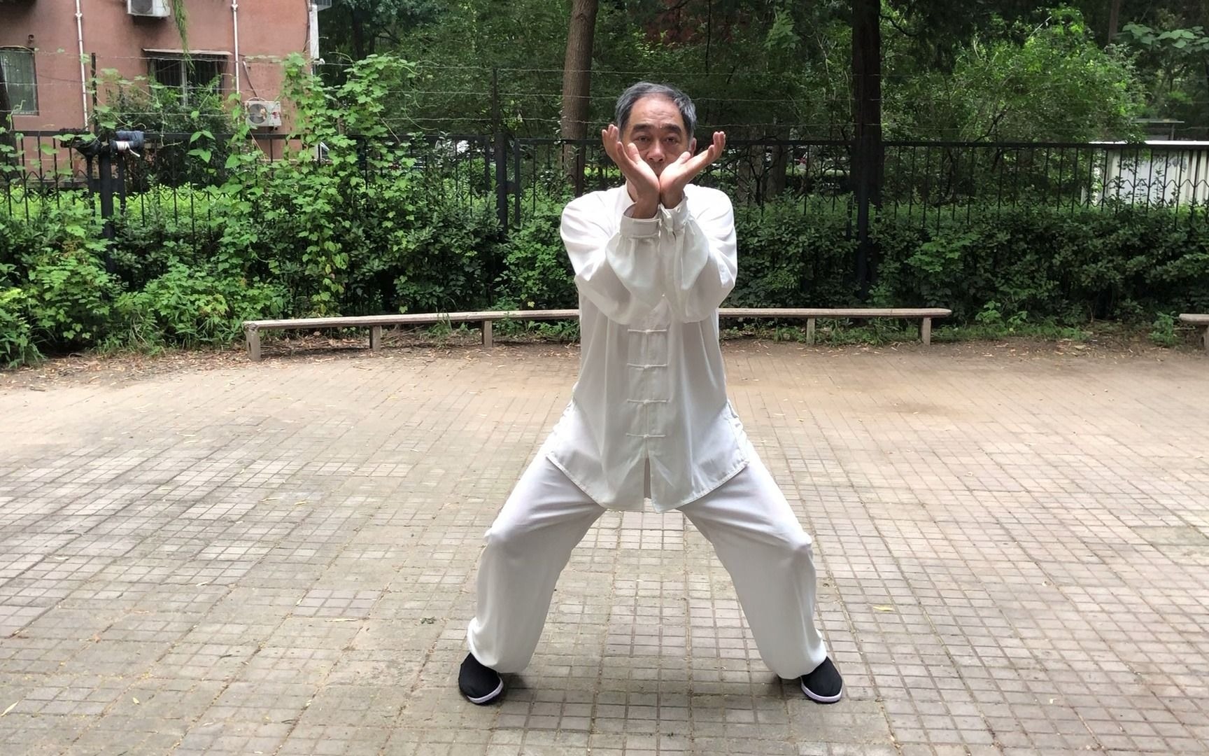 八卦掌10:桩功之白猿献果