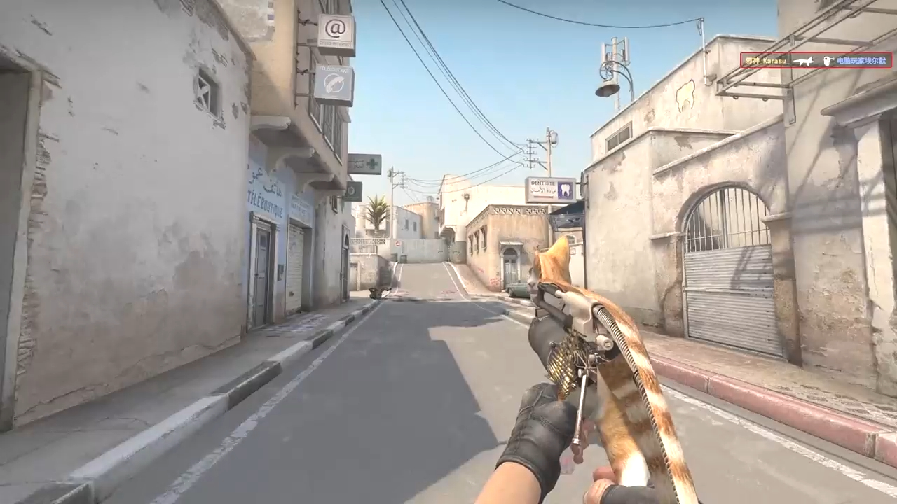 猫枪的结构原理 #cs #csgo开箱 #武器 #csgo #猫枪