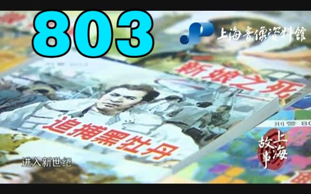 【上海纪录片】“刑警803”的故事(下)哔哩哔哩bilibili