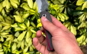 Download Video: Jiknives 狼头 Mini Volt 2023年5月 NOCKI展会拍品