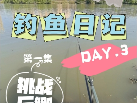 钓鱼日记DAY3野钓挑战斤鲫1哔哩哔哩bilibili