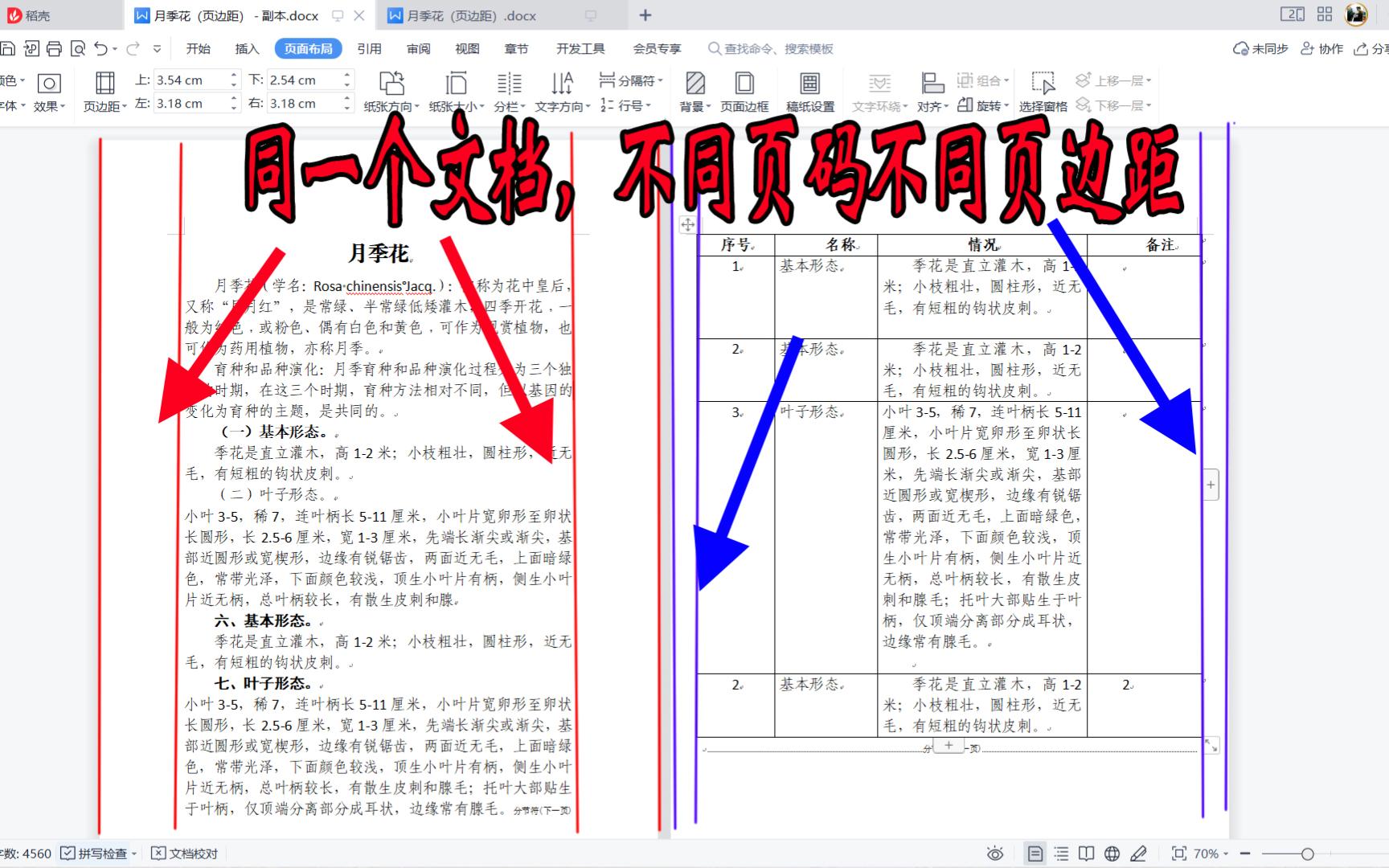 WPS文档如何单独设置某一页的页边距?同一个文档设置不同页边距哔哩哔哩bilibili