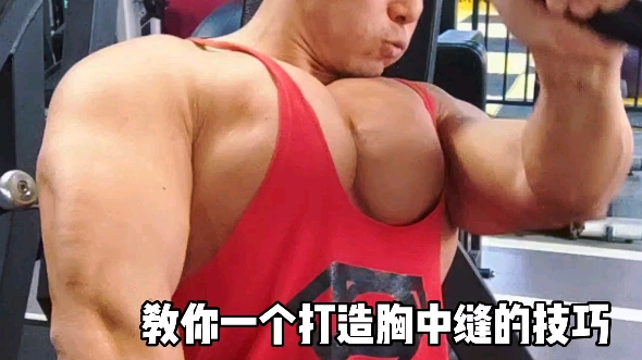 胸肌中缝训练技巧哔哩哔哩bilibili