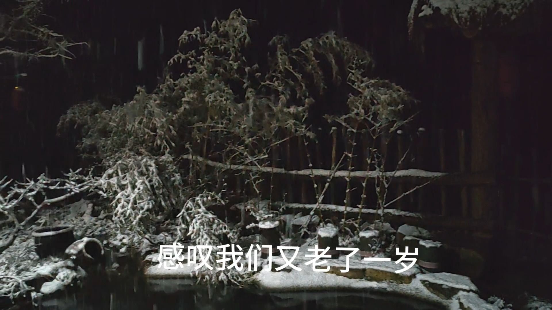 你知道哪些写雪绝美的诗词?哔哩哔哩bilibili