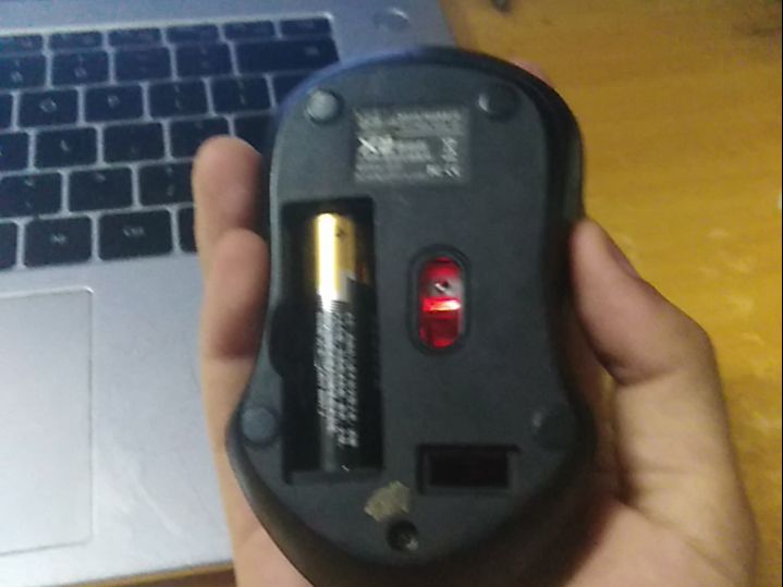 这电脑鼠标怎么动不了?(脑)