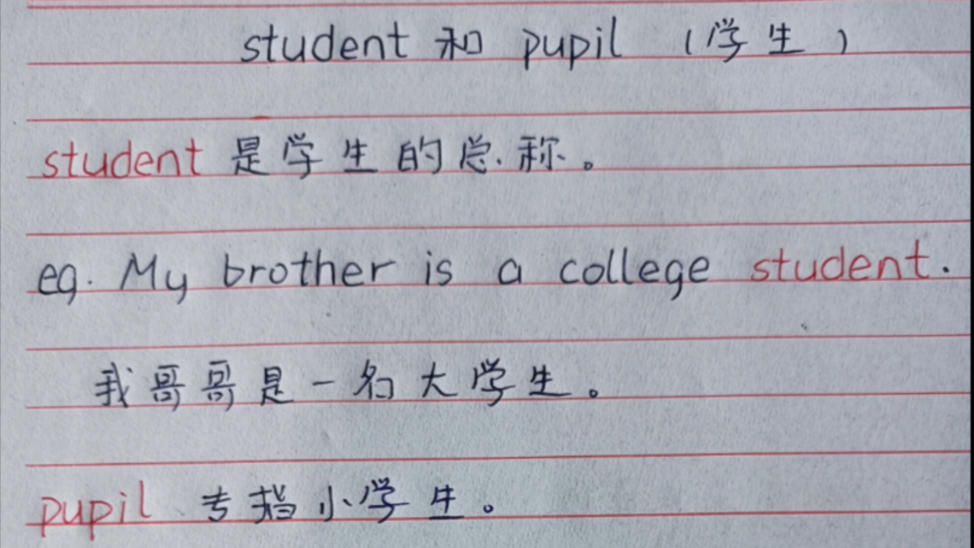 小肉丸懒懒〕英语单词·student和pupil(学生)的区别