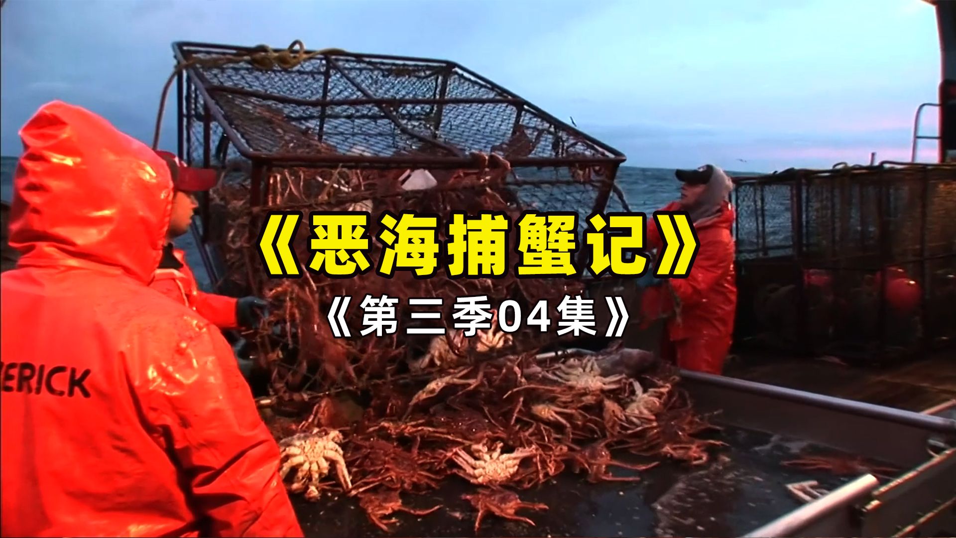 阿拉斯加捕蟹人炸了螃蟹窝,每一个投放的捕蟹笼,收获都十分惊人