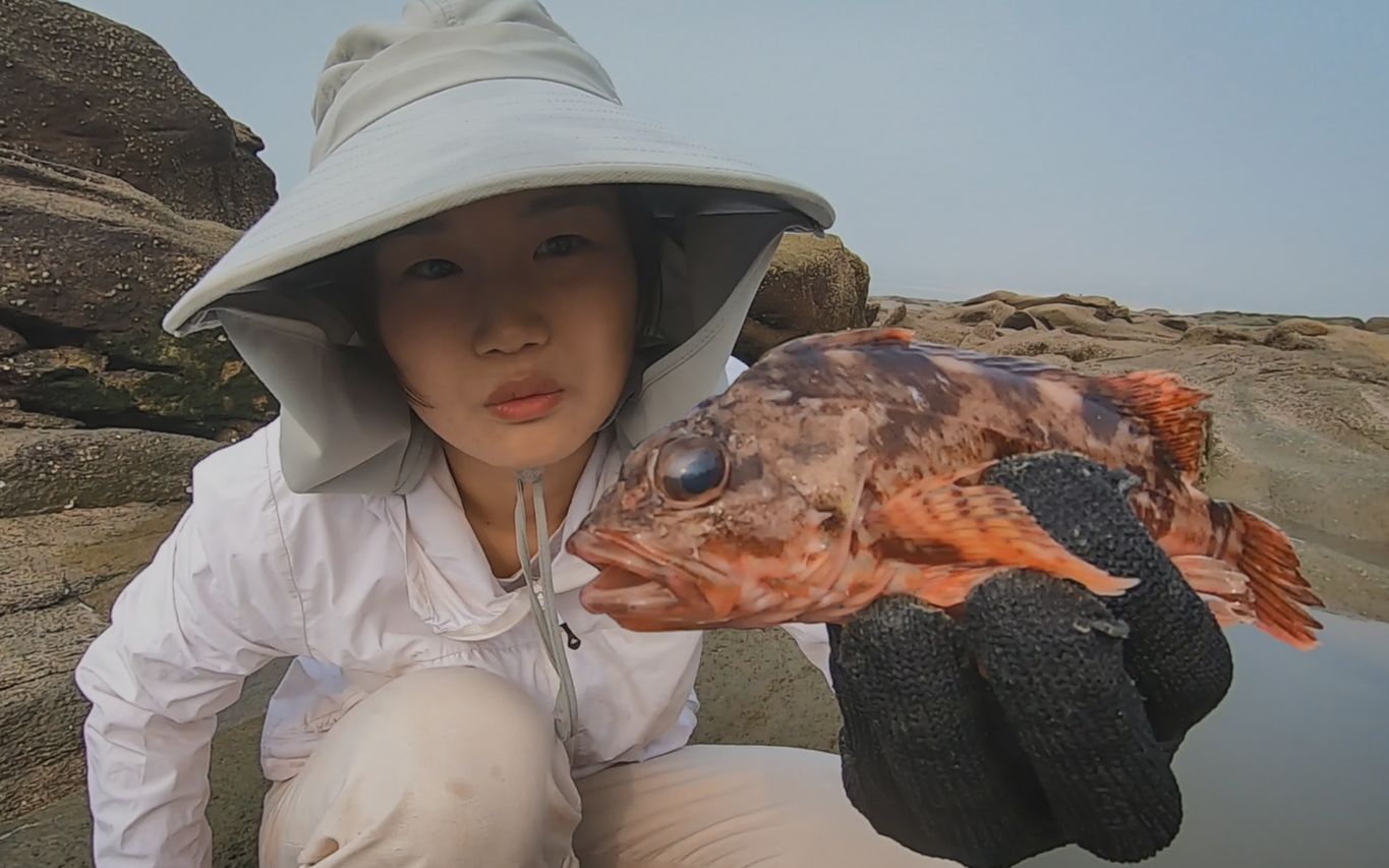 岩礁岛全是海货,一个比一个诱人,猪猪抓的石九公都是超大的哔哩哔哩bilibili