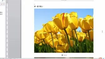 59怎样从Word文档中自动提取目录，全国计算机等级考试一级，计算机基础及MS Office应用上机指导。