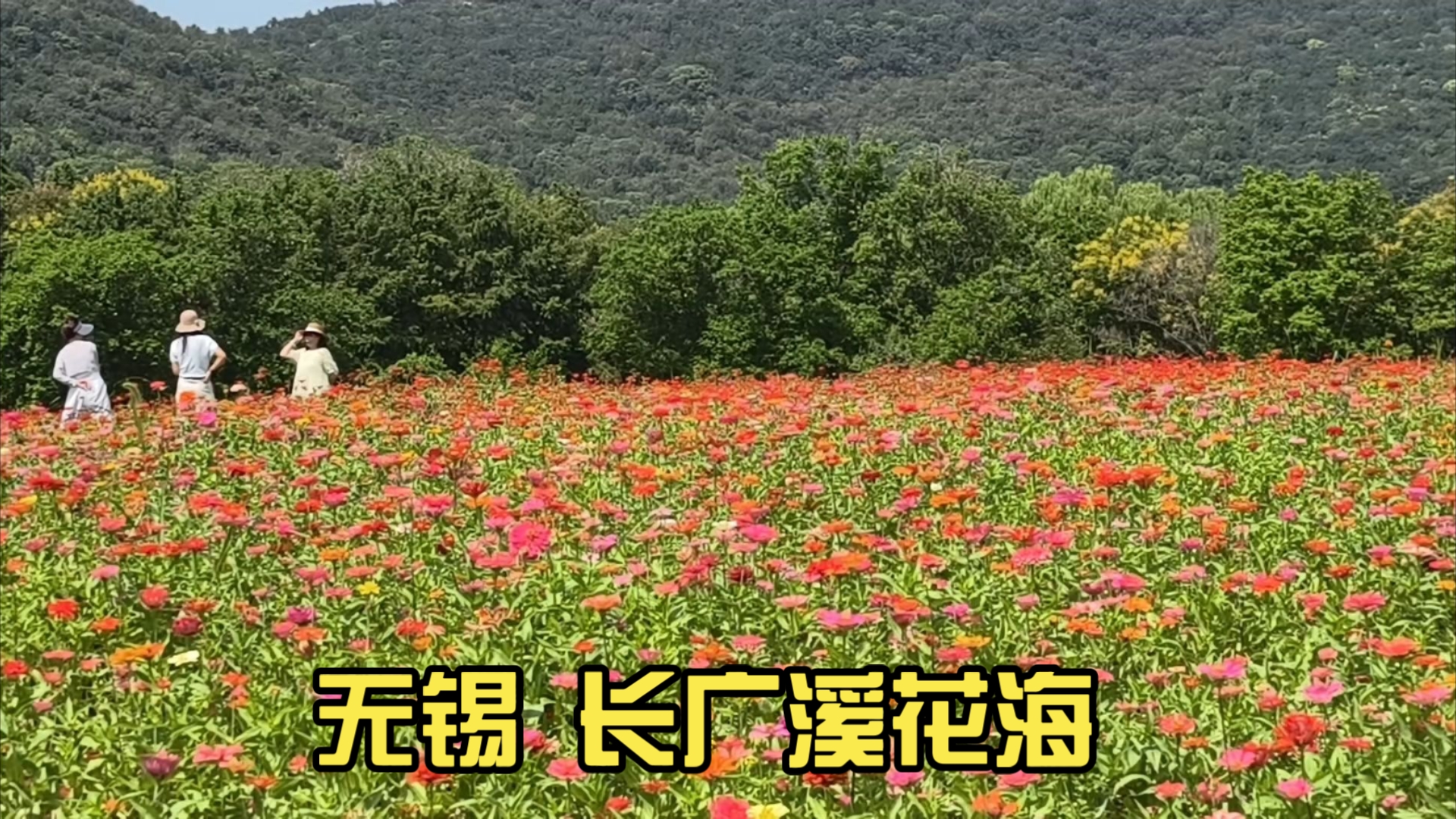 无锡 长广溪花海